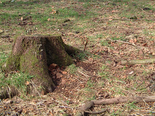 RAF Culmhead, Somerset Airfield Site