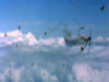RAF Culmhead, Somerset Airfield Site