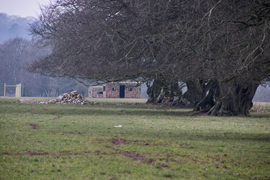 RAF Culmhead, Somerset Airfield Site