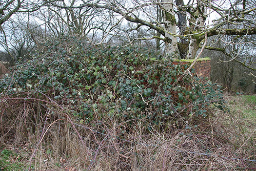 RAF Culmhead, Somerset Airfield Site