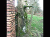 January 2000 and a tree has grown through the wooden and barbed wire gate. 2015 and its still there but breaking up.