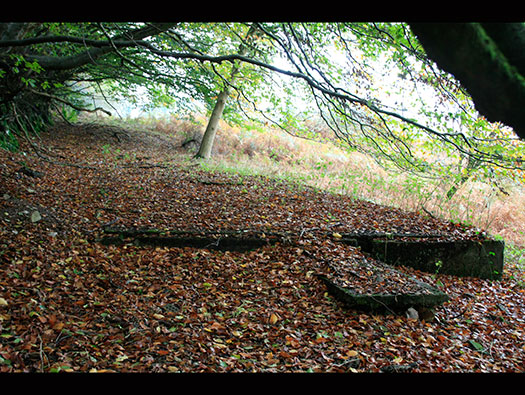 RAF Culmhead, Somerset Airfield Site
