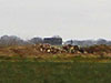 I have zoomed in on the Control Tower, if we can see it, they can see us.
