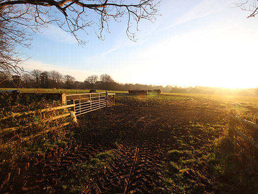 RAF Culmhead, Somerset Airfield Site