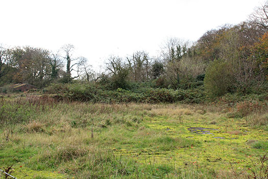 RAF Culmhead, Somerset Airfield Site