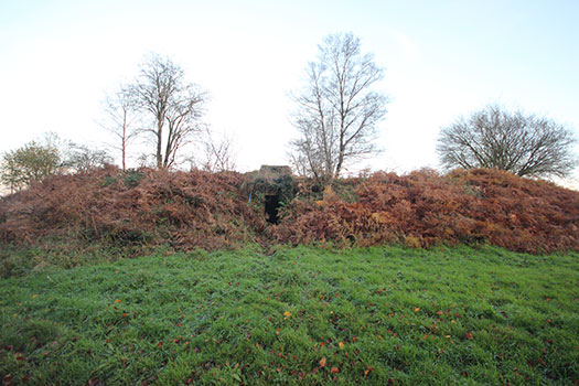 RAF Culmhead, Somerset Airfield Site