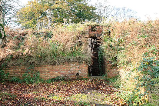 RAF Culmhead, Somerset Airfield Site