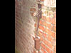 Light switch in the entrance.