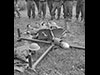 Blacker Bombarder spigot mortar another weapon that may have been used here.