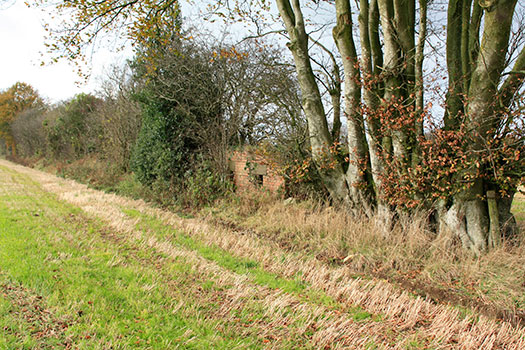 RAF Culmhead, Somerset Airfield Site
