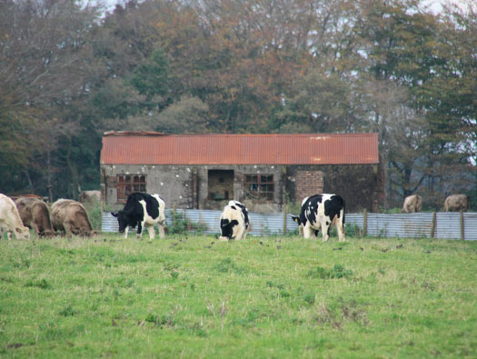 RAF Culmhead, Somerset Airfield Site
