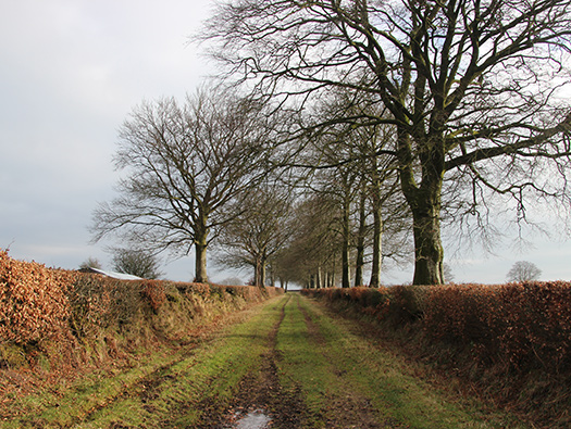 RAF Culmhead, Somerset. Dispersed Sites