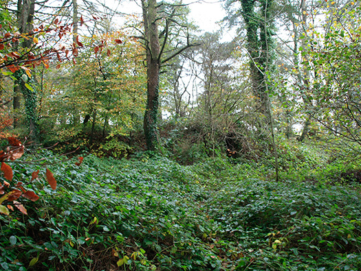 RAF Culmhead, Somerset. Dispersed Sites