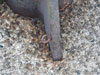 A small hole where a wire could pass through.