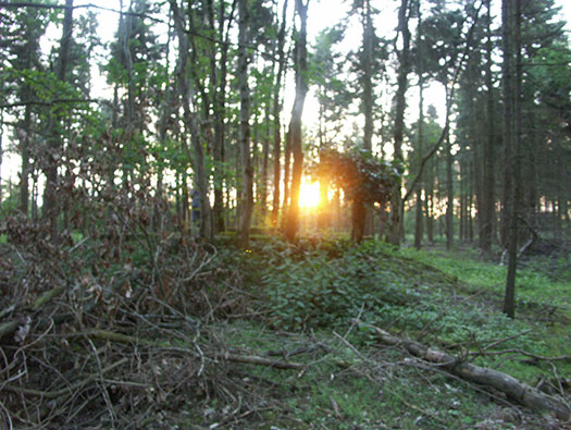 RAF Ibsley, Hampshire 
  Airfield Site