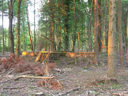 RAF Ibsley, Hampshire 
  Airfield Site