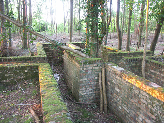 RAF Ibsley, Hampshire 
  Airfield Site