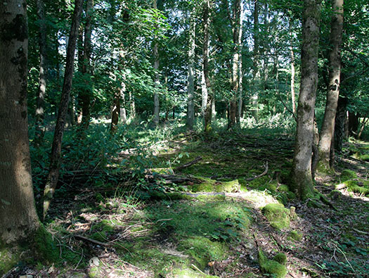RAF Ibsley, Hampshire 
  Airfield Site