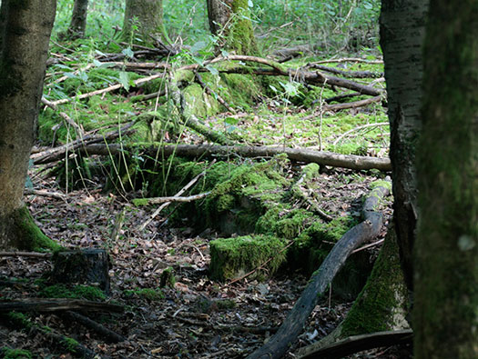 RAF Ibsley, Hampshire 
  Airfield Site