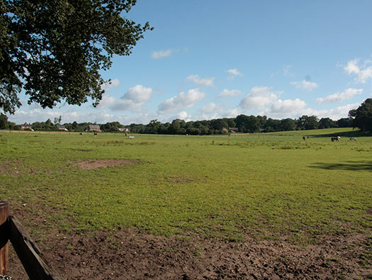 RAF Ibsley, Hampshire 
  Airfield Site