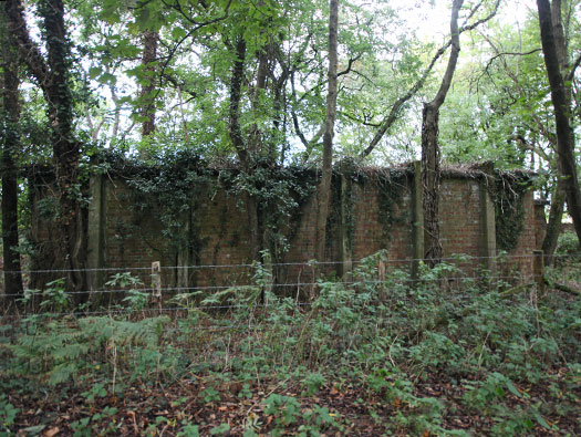 RAF Ibsley, Hampshire 
  Airfield Site