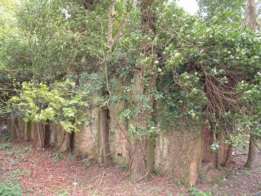 RAF Ibsley, Hampshire
Airfield Site