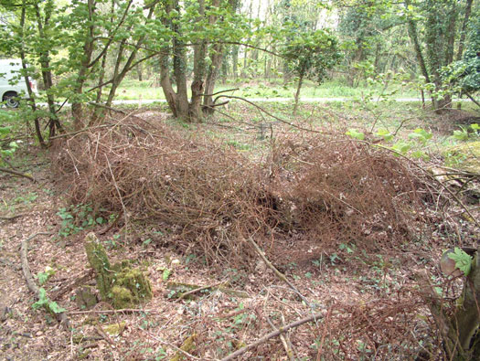 RAF Ibsley, Hampshire 
  Airfield Site