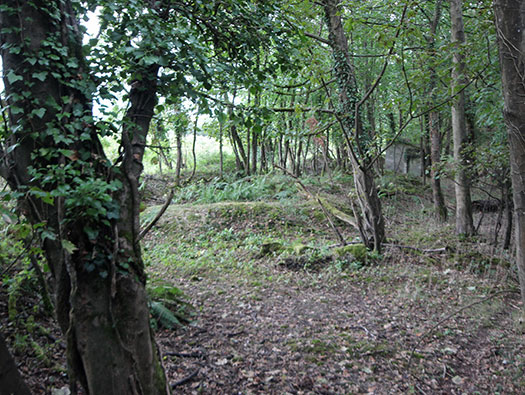 RAF Ibsley, Hampshire 
  Airfield Site