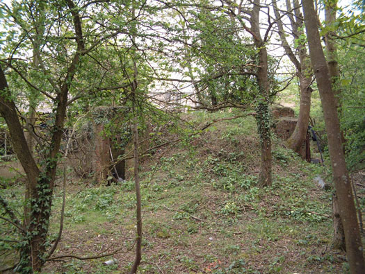 RAF Ibsley, Hampshire 
  Airfield Site