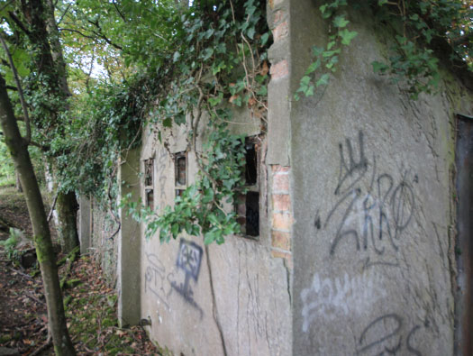 RAF Ibsley, Hampshire 
  Airfield Site