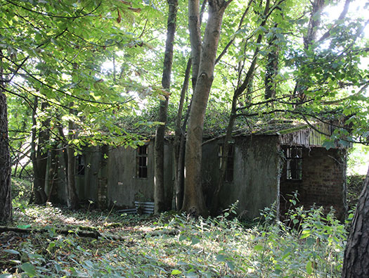 RAF Ibsley, Hampshire
Airfield Site