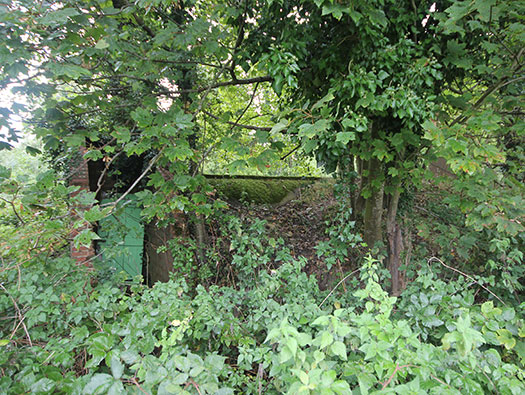RAF Ibsley, Hampshire 
  Dispersed sites