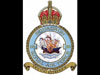 118 Sqn RAF had many RNAAF pilots in their ranks.