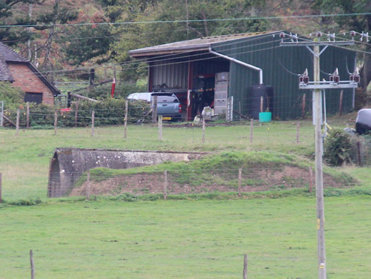 RAF Ibsley, Hampshire 
  Dispersed sites