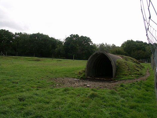RAF Ibsley, Hampshire 
  Dispersed sites
