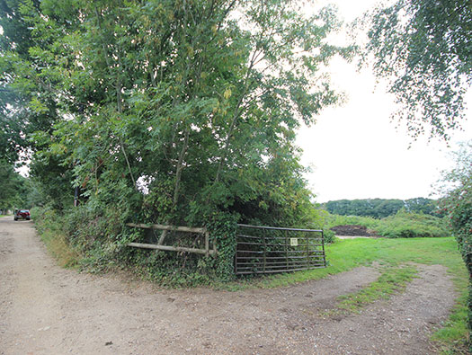 RAF Ibsley, Hampshire 
  Dispersed sites