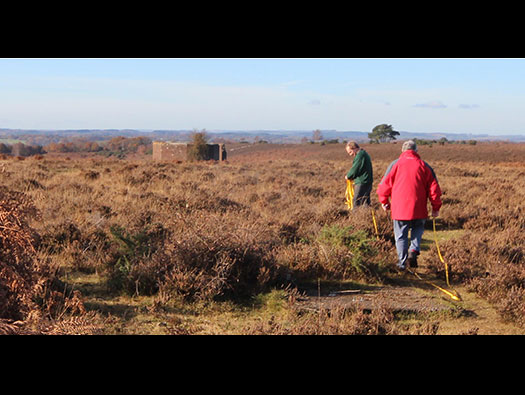 RAF Ibsley, Hampshire 
  HF/DF Site