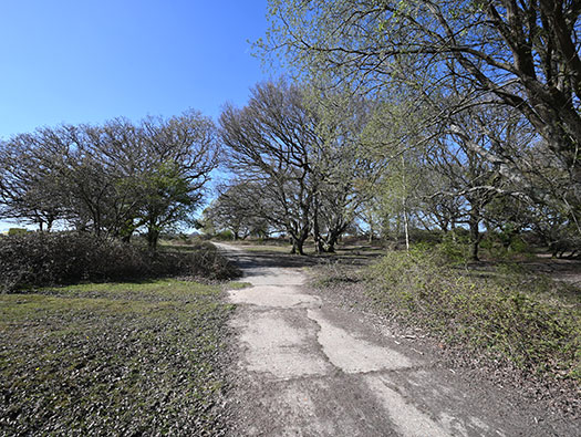 RAF Stoney Cross,
USAAF Station 452, Hampshire, 
Technical, Communal Site 1, Sites,1, 2 & WAAF