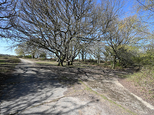 RAF Stoney Cross,
USAAF Station 452, Hampshire, 
Technical, Communal Site 1, Sites,1, 2 & WAAF