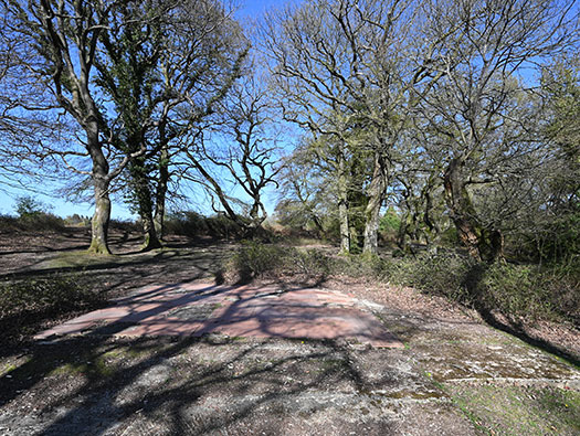 RAF Stoney Cross,
USAAF Station 452, Hampshire, 
Technical, Communal Site 1, Sites,1, 2 & WAAF