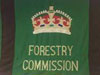 RAF Stoney Cross,
USAAF Station 452, Hampshire, 
Technical, Communal Site 1, Sites,1, 2 & WAAF