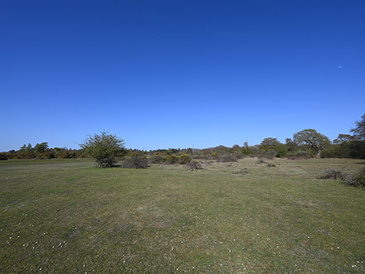RAF Stoney Cross,
USAAF Station 452, Hampshire, 
Technical, Communal Site 1, Sites,1, 2 & WAAF