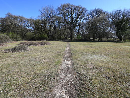 RAF Stoney Cross,
USAAF Station 452, Hampshire, 
Technical, Communal Site 1, Sites,1, 2 & WAAF