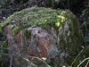 A good three brick thick.
