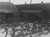 Bikes outside a dining room.