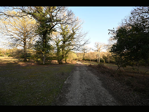 RAF Stoney Cross,
USAAF Station 452, Hampshire, 
Technical, Communal Site 1, Sites,1, 2 & WAAF
