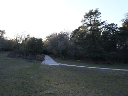 RAF Stoney Cross,
USAAF Station 452, Hampshire, 
Technical, Communal Site 1, Sites,1, 2 & WAAF