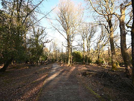 RAF Stoney Cross,
USAAF Station 452, Hampshire, 
Technical, Communal Site 1, Sites,1, 2 & WAAF
