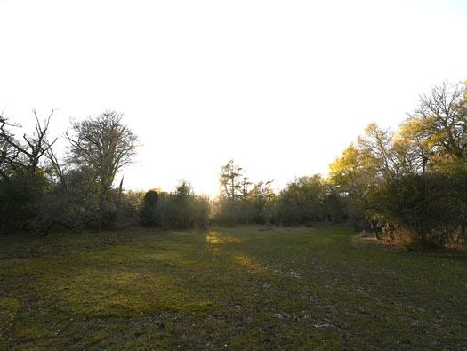 RAF Stoney Cross,
USAAF Station 452, Hampshire, 
Technical, Communal Site 1, Sites,1, 2 & WAAF
