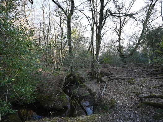 RAF Stoney Cross,
USAAF Station 452, Hampshire, 
Technical, Communal Site 1, Sites,1, 2 & WAAF